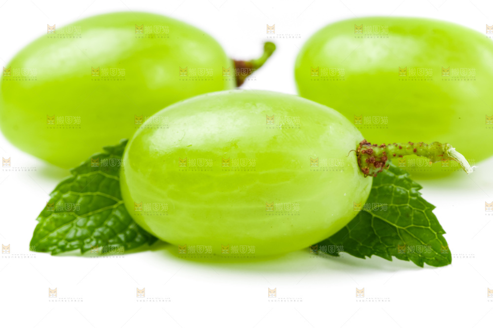 白底上放着新鲜青提