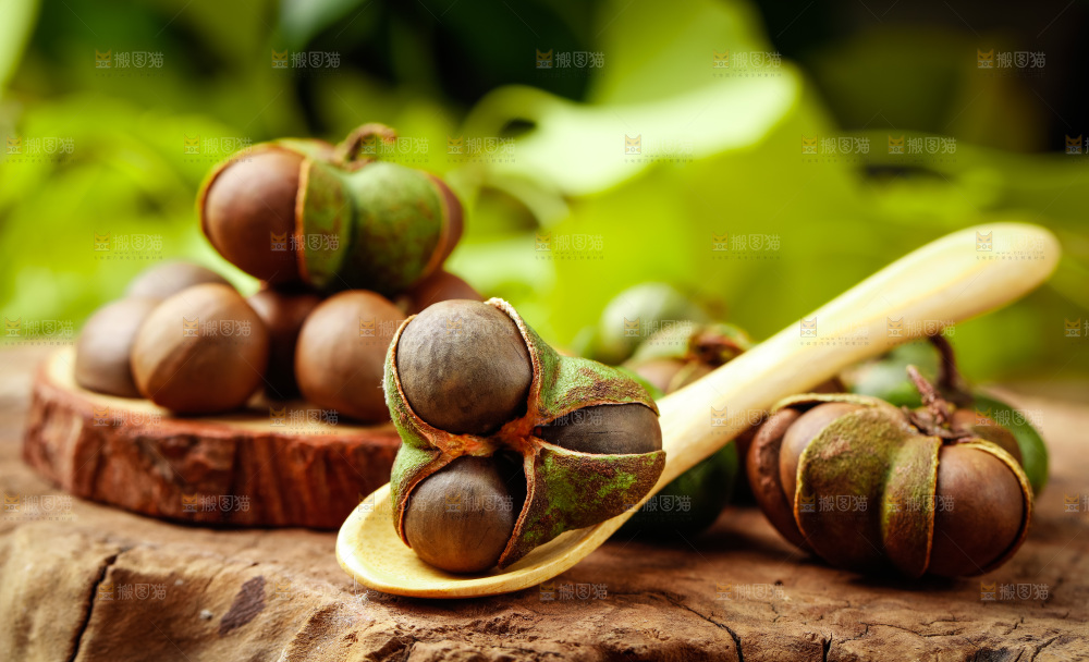 深底上的茶树果