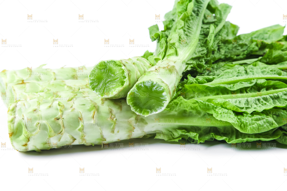 白底上的莴笋