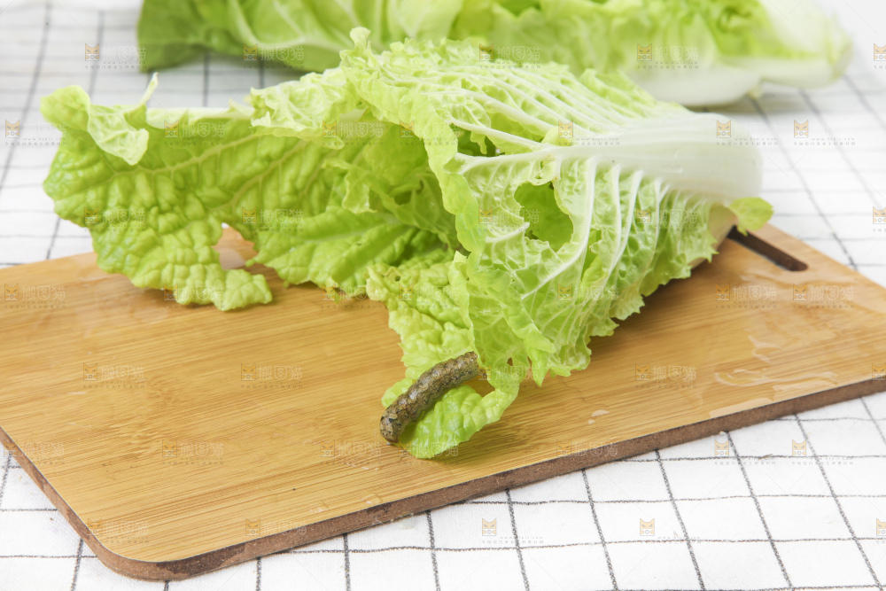 木板上的新鲜白菜