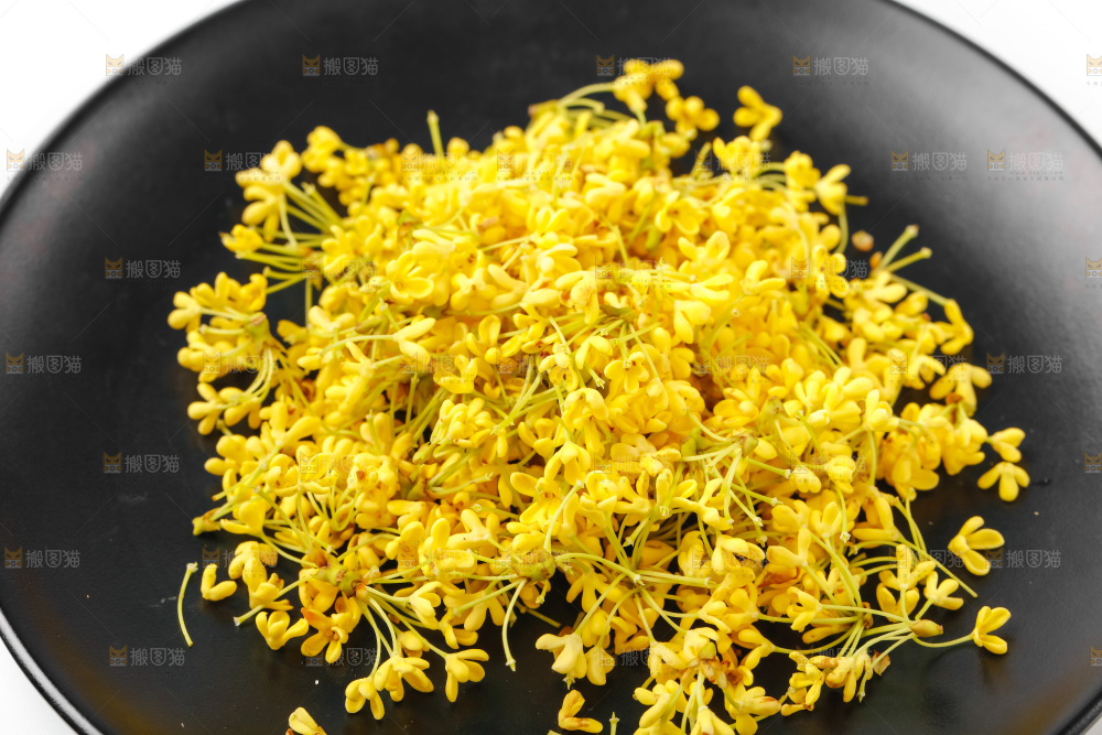 石板上的金桂花