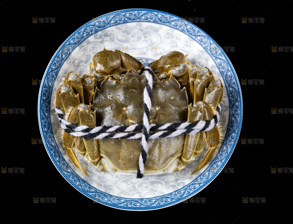 黑底上的鲜活螃蟹