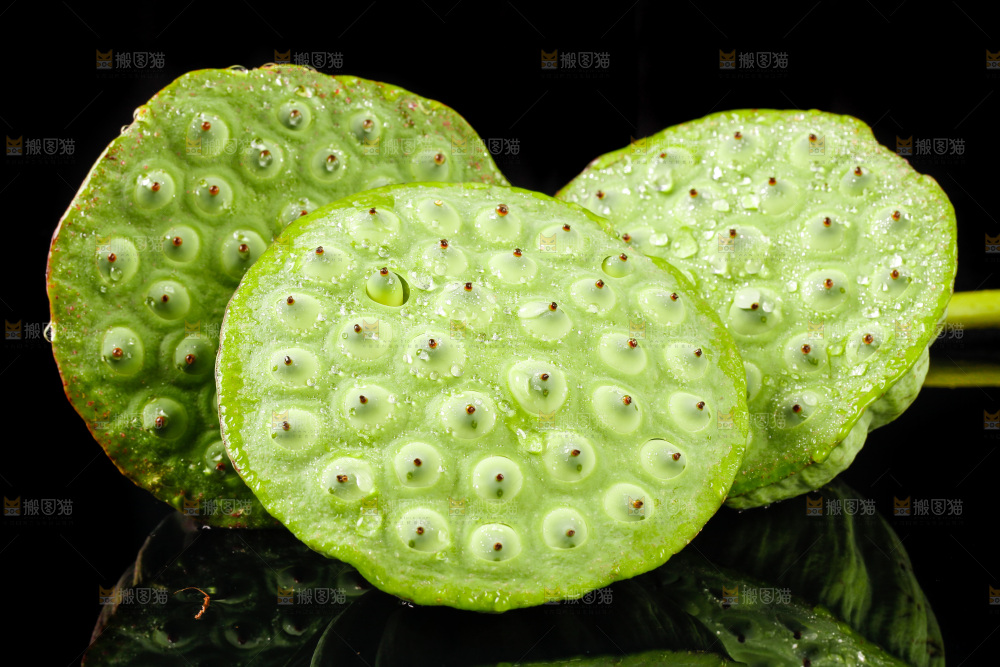 水果莲蓬放在黑底上