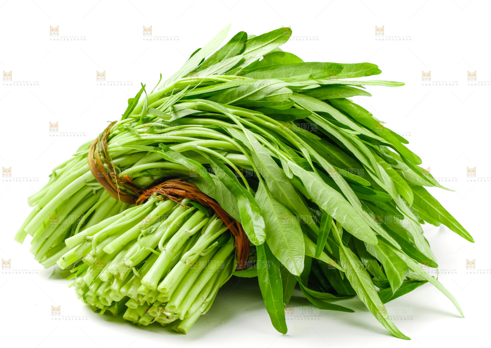 白底上放着新鲜空心菜
