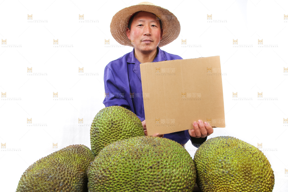 农民手里拿着菠萝蜜