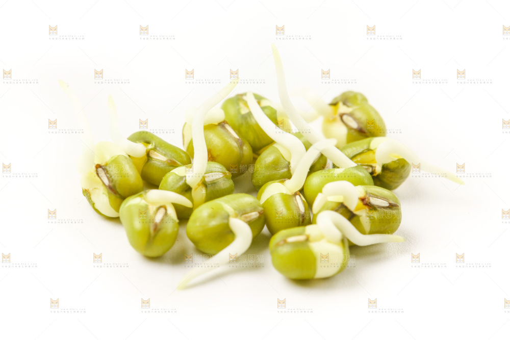 白底上的绿豆芽