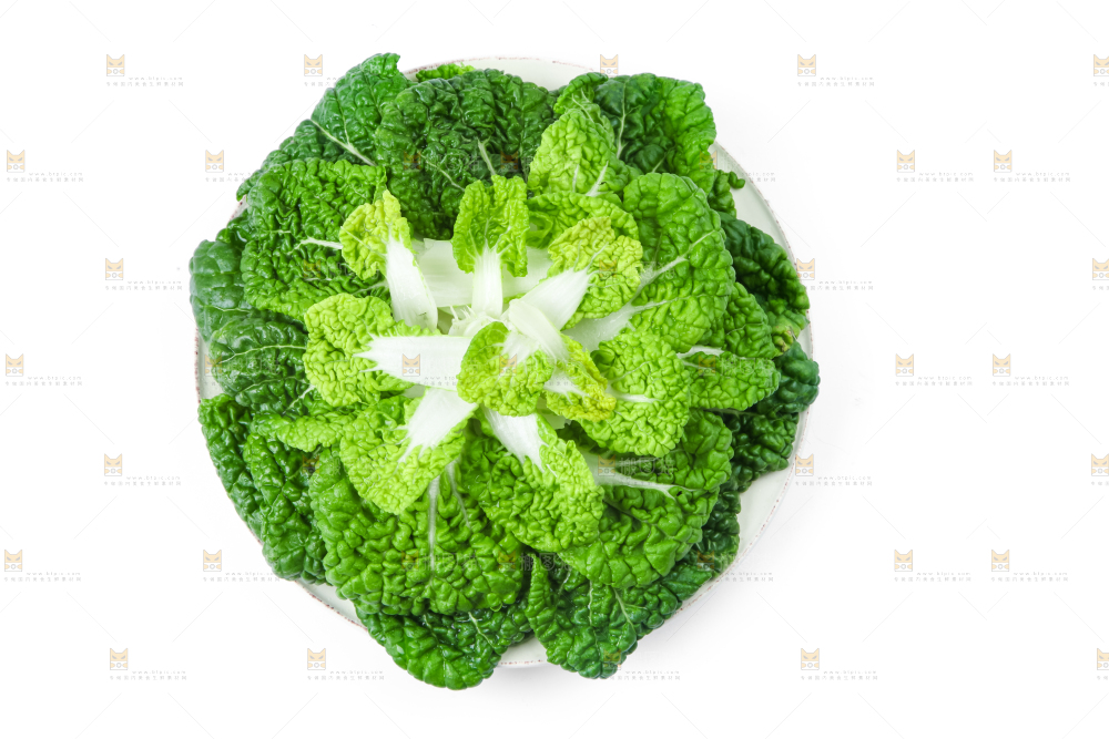 白底上的奶油白菜