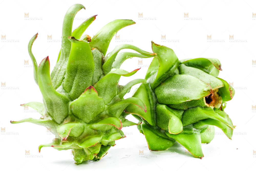 白底上的火龙果