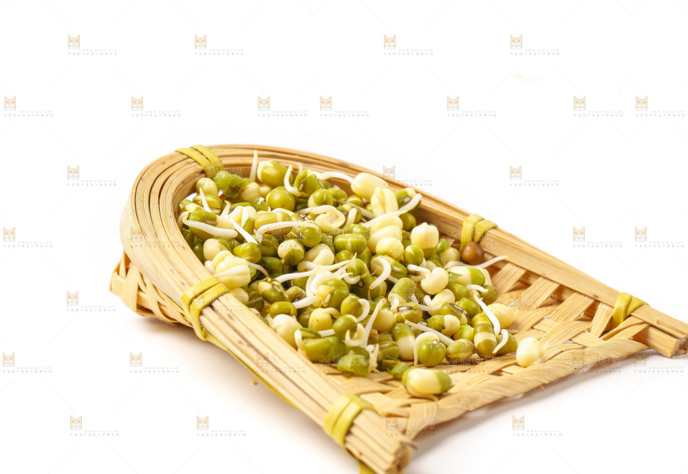 白底上的绿豆芽
