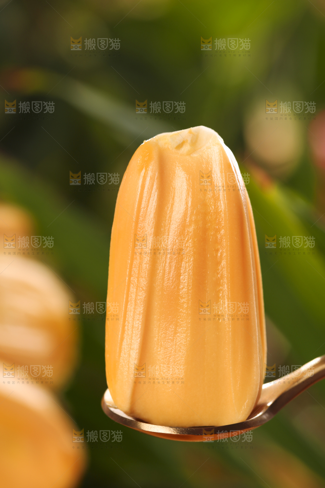 深底上的海南红肉菠萝蜜