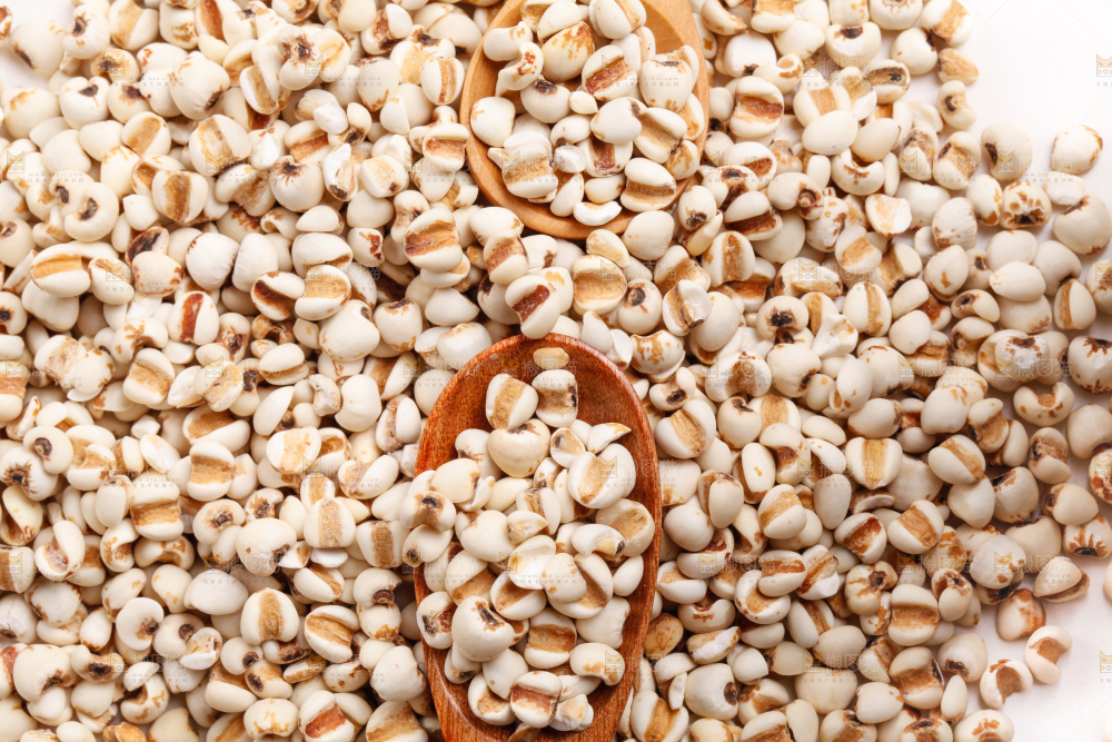 浅底上放着贵州薏米