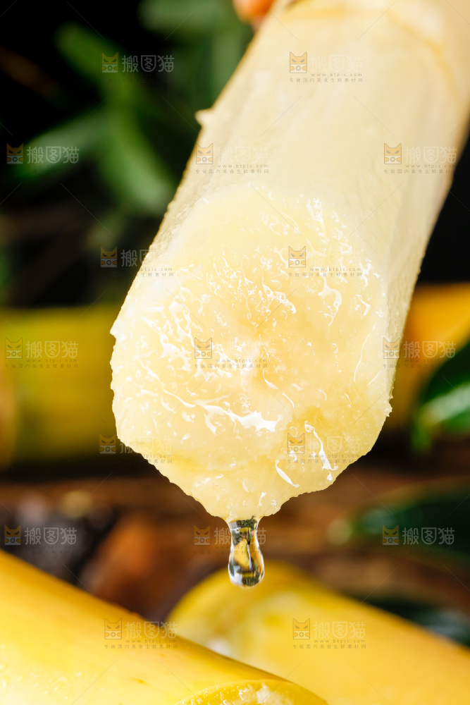 手里拿着新鲜甘蔗