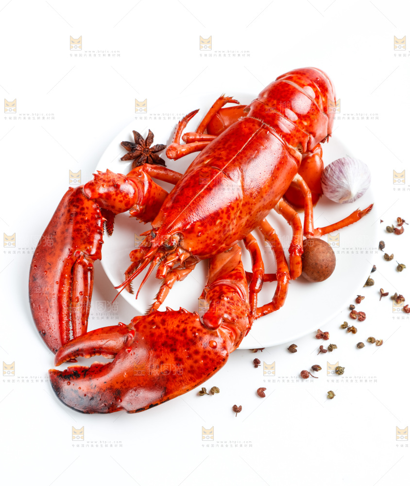 浅底上放着波士顿大龙虾