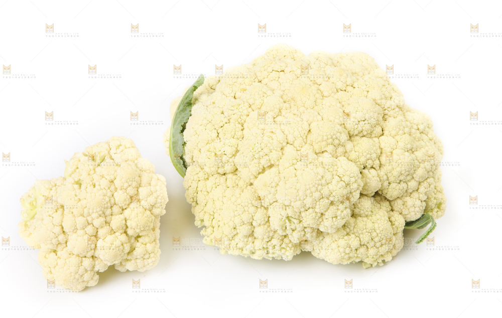 白底上的花菜