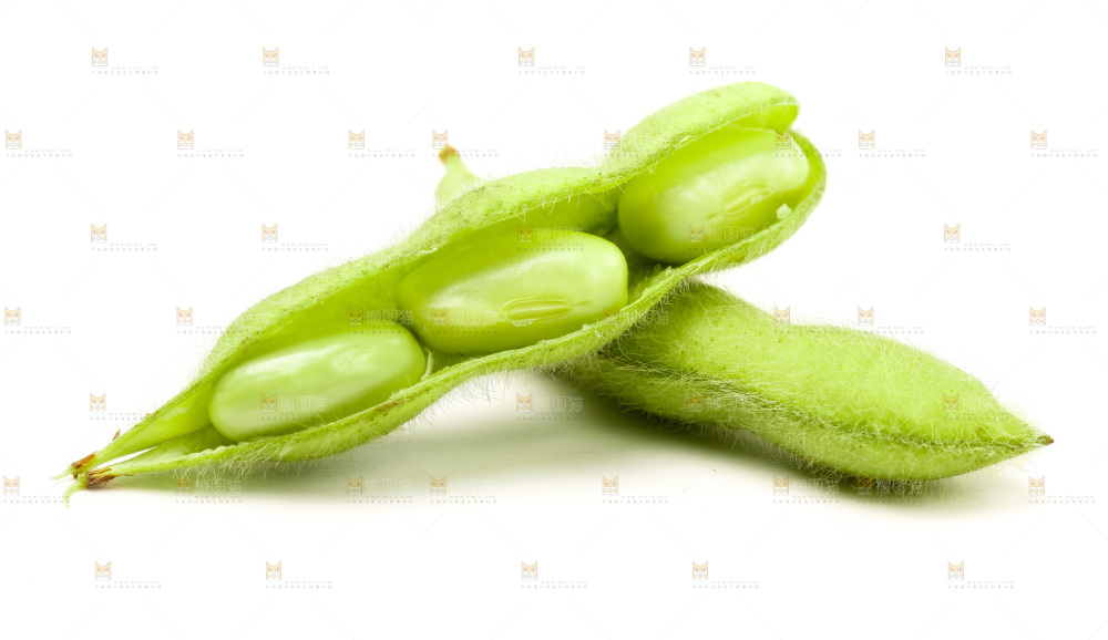 白底上的毛豆