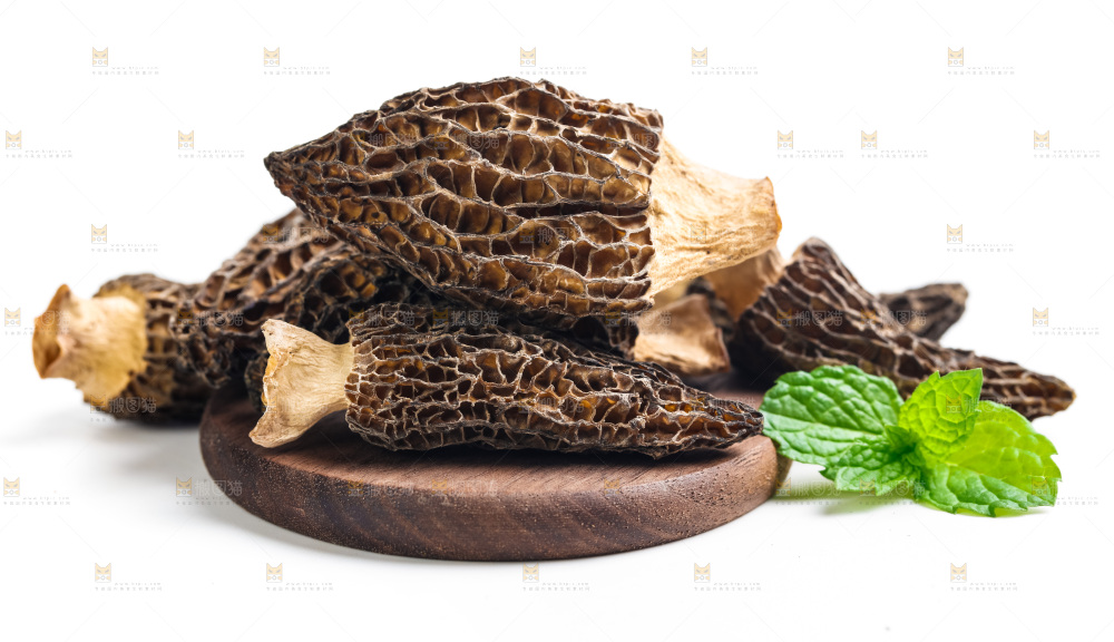 浅底上的云南羊肚菌