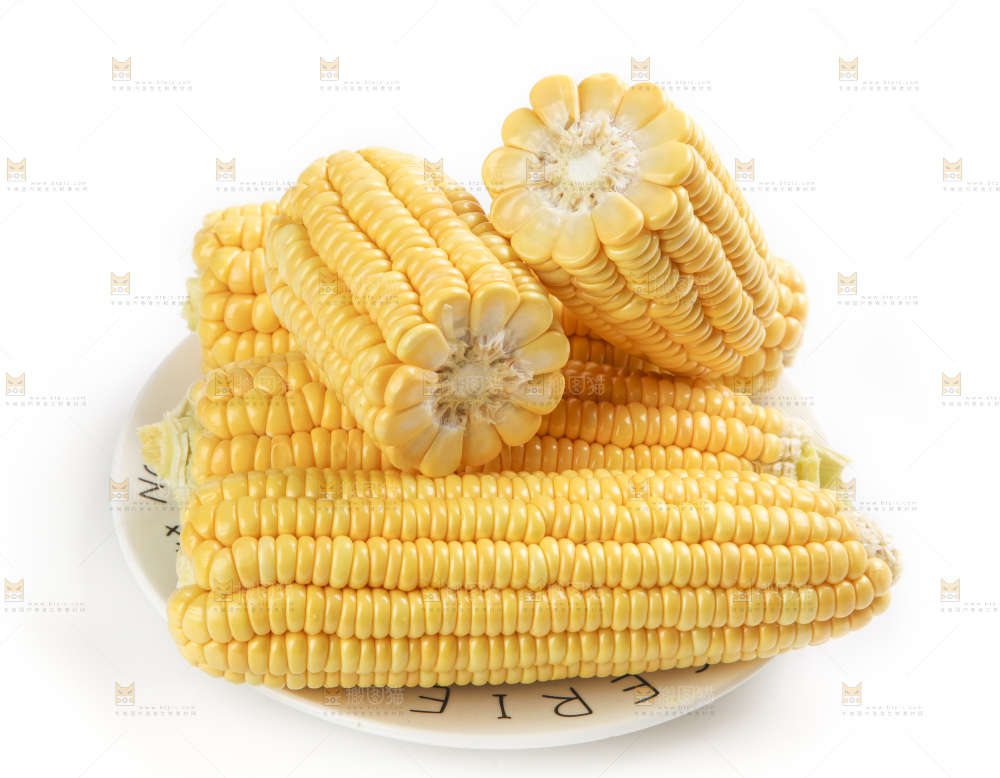 白底上的新鲜玉米