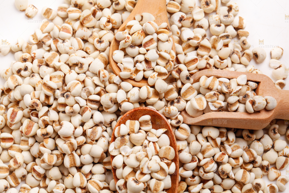 浅底上放着贵州薏米