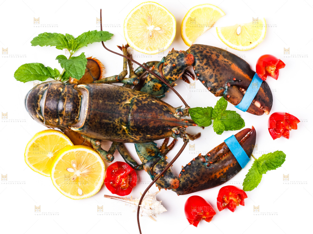 浅底上的澳洲龙虾