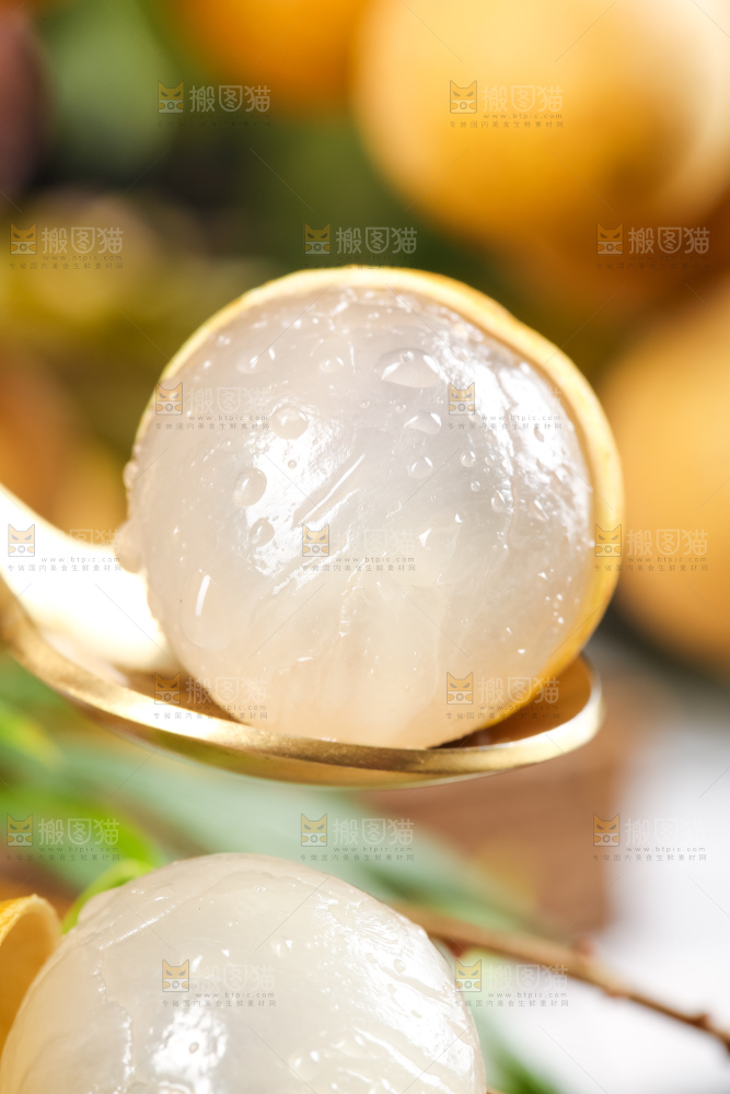 勺子里装着龙眼果肉