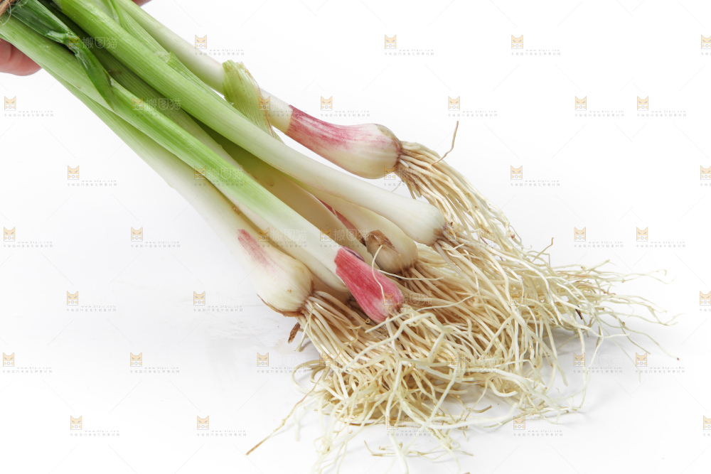 白底上放着蒜苗