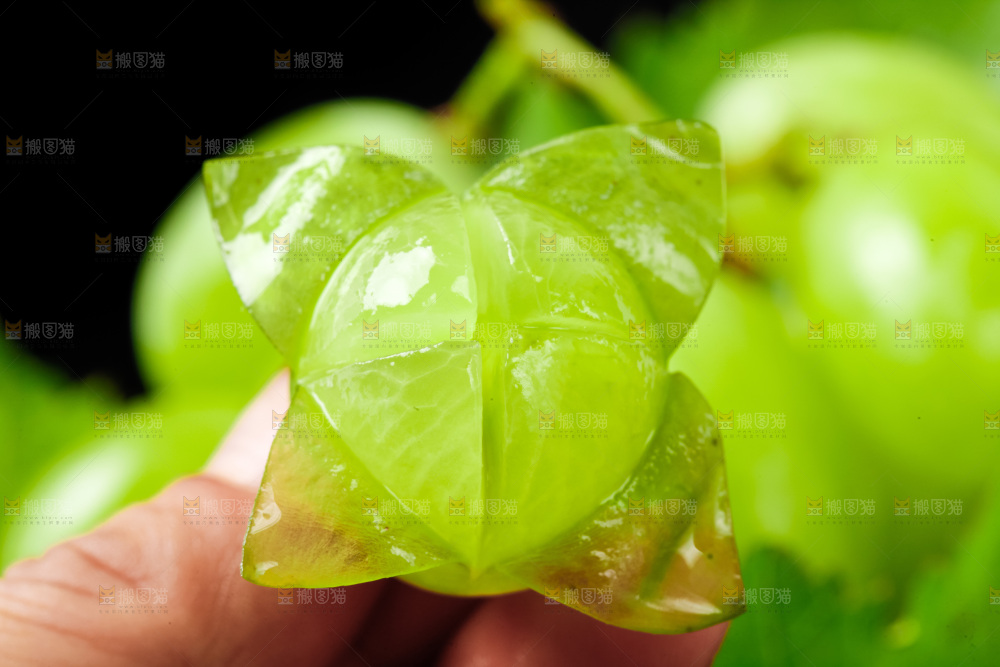 手拿剥皮的青提
