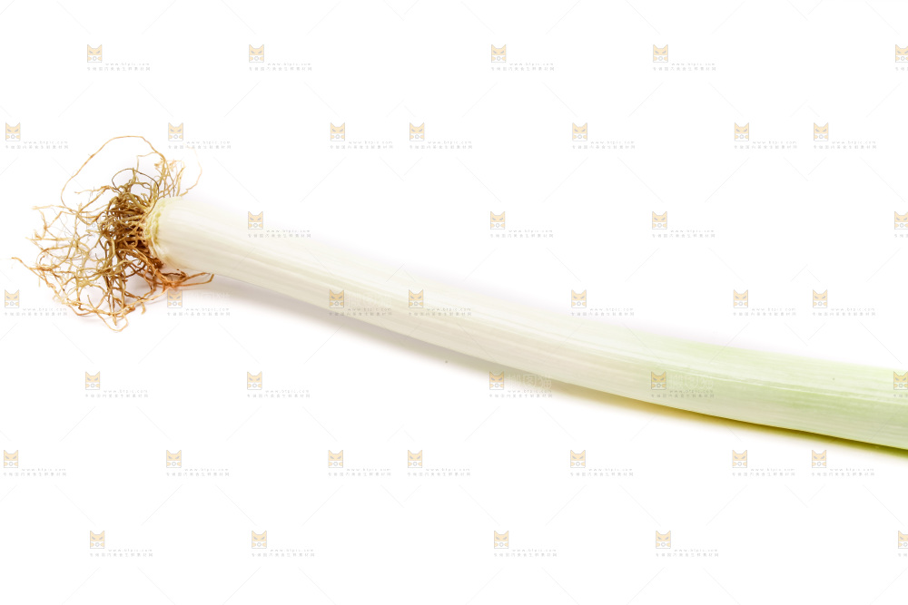 白底上的大葱