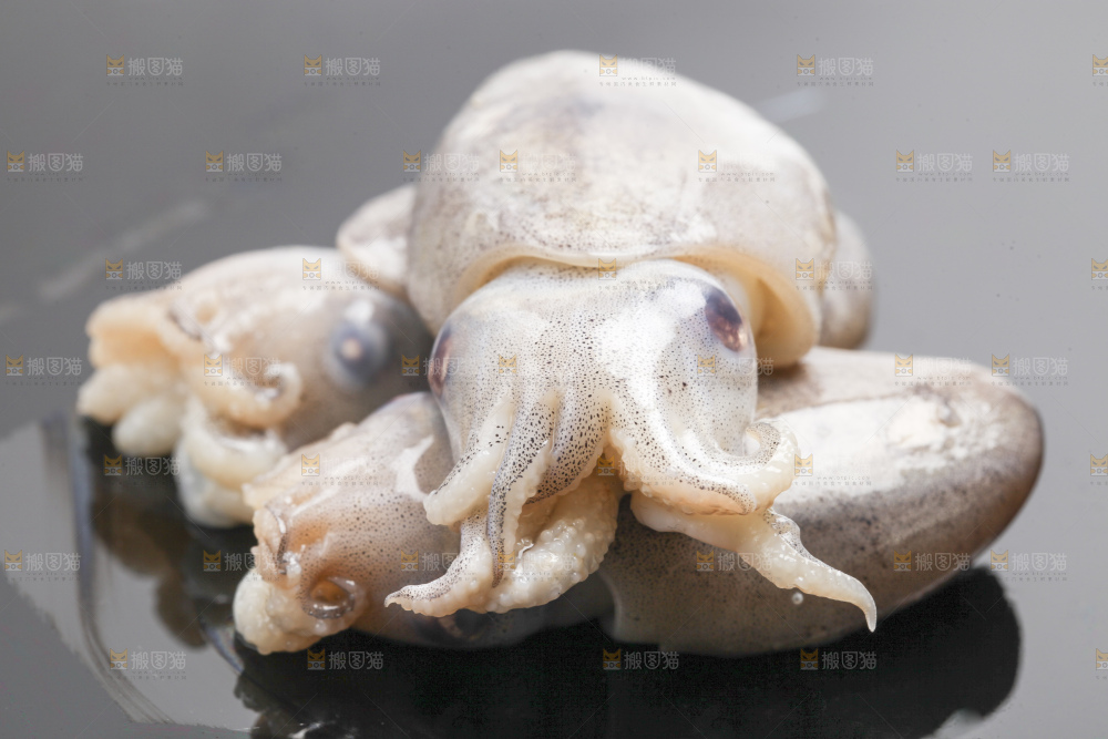 深底上的墨斗鱼