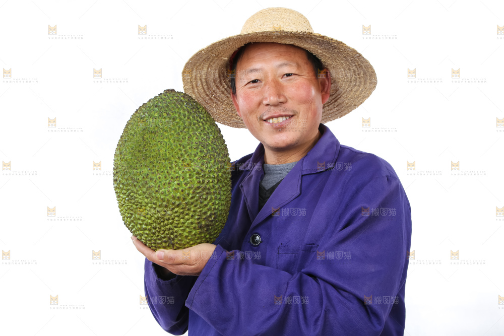 农民手里拿着菠萝蜜