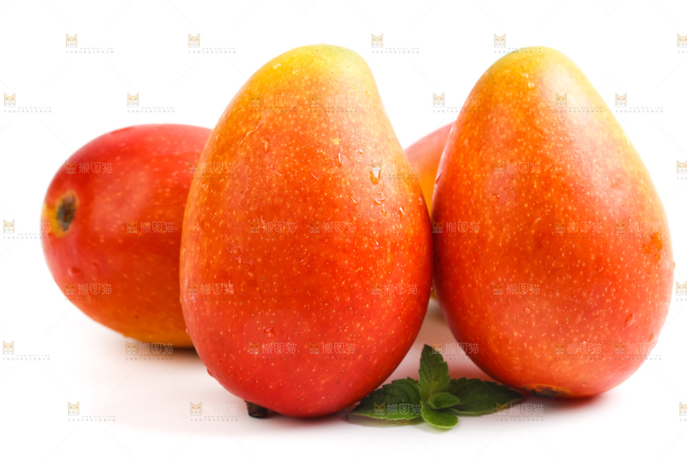 海南贵妃芒放在白底上