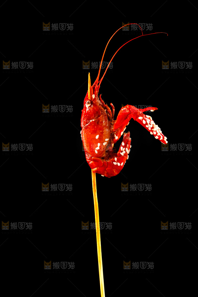 黑底上的虾串