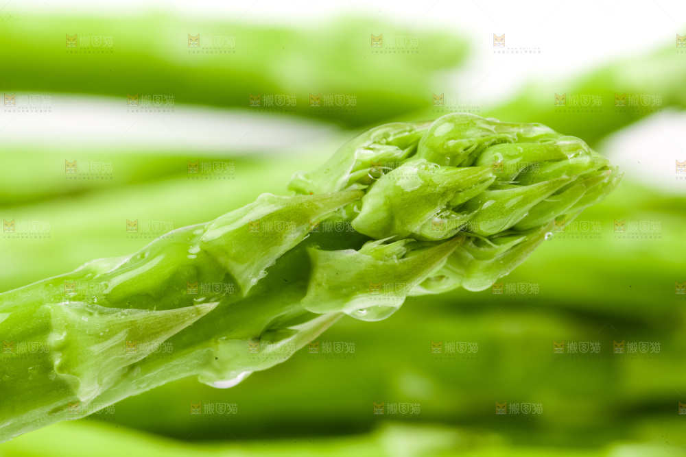 白底上的芦笋