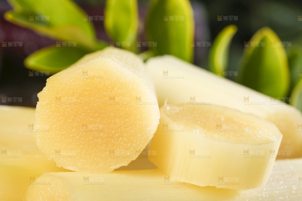 深底上的广西黑皮甘蔗