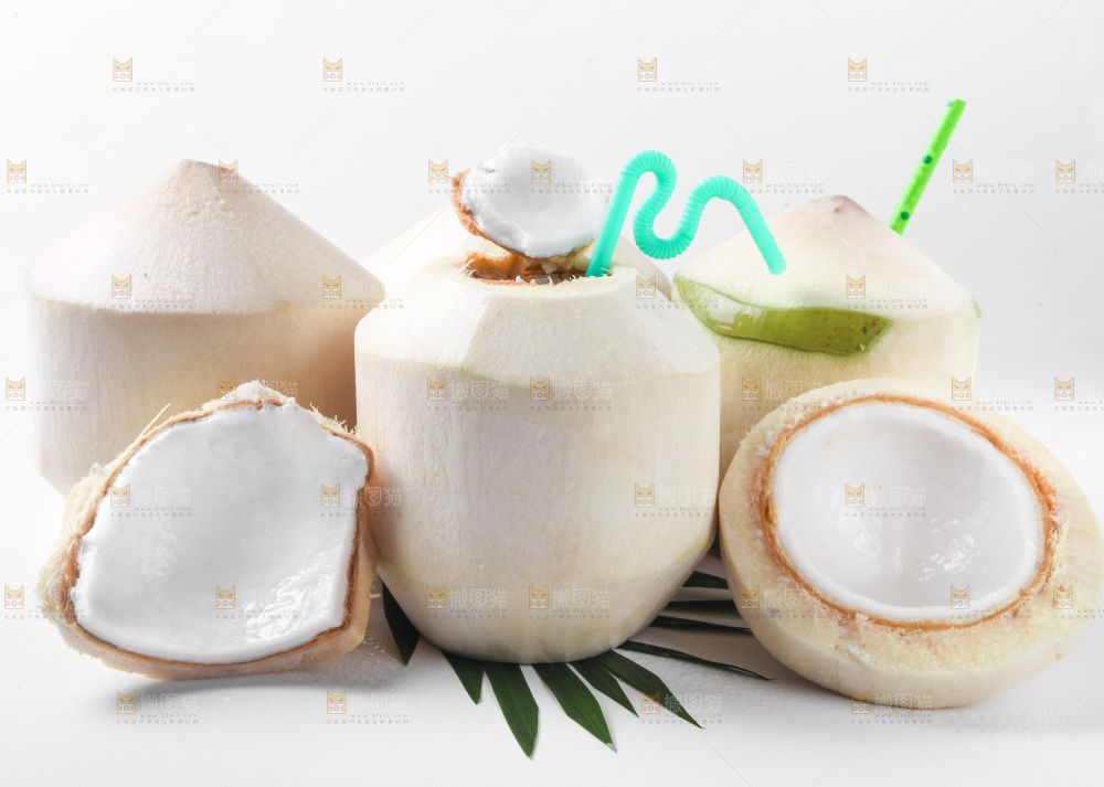 白底上青椰子