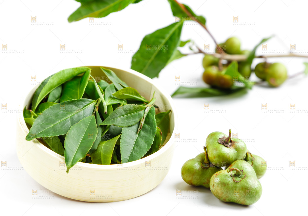 白底上放着绿茶叶