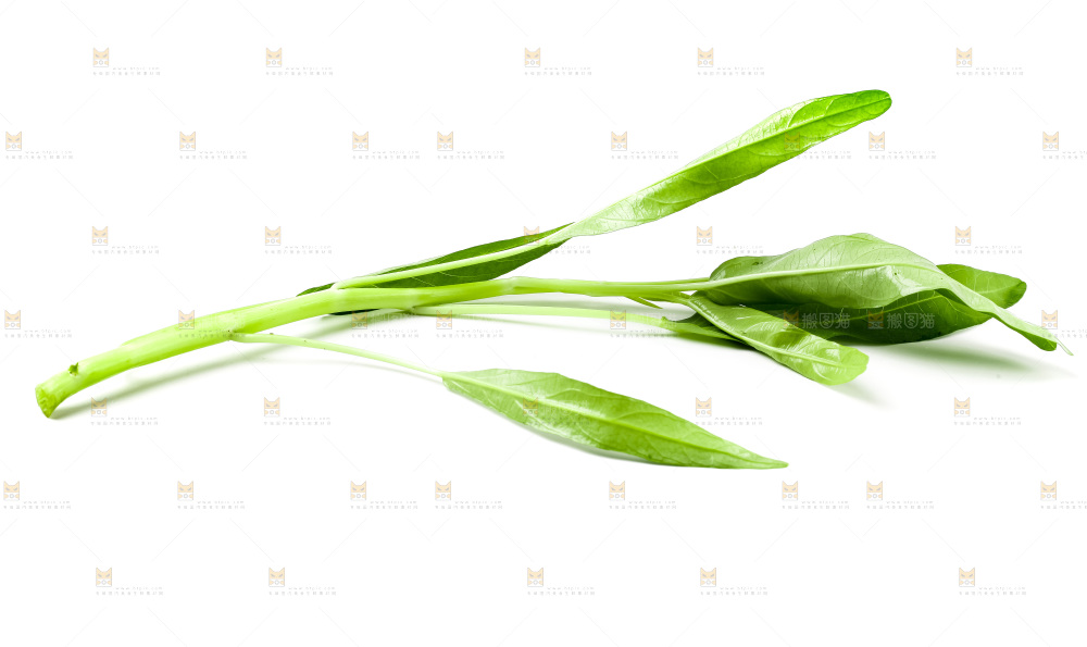 白底上放着新鲜空心菜