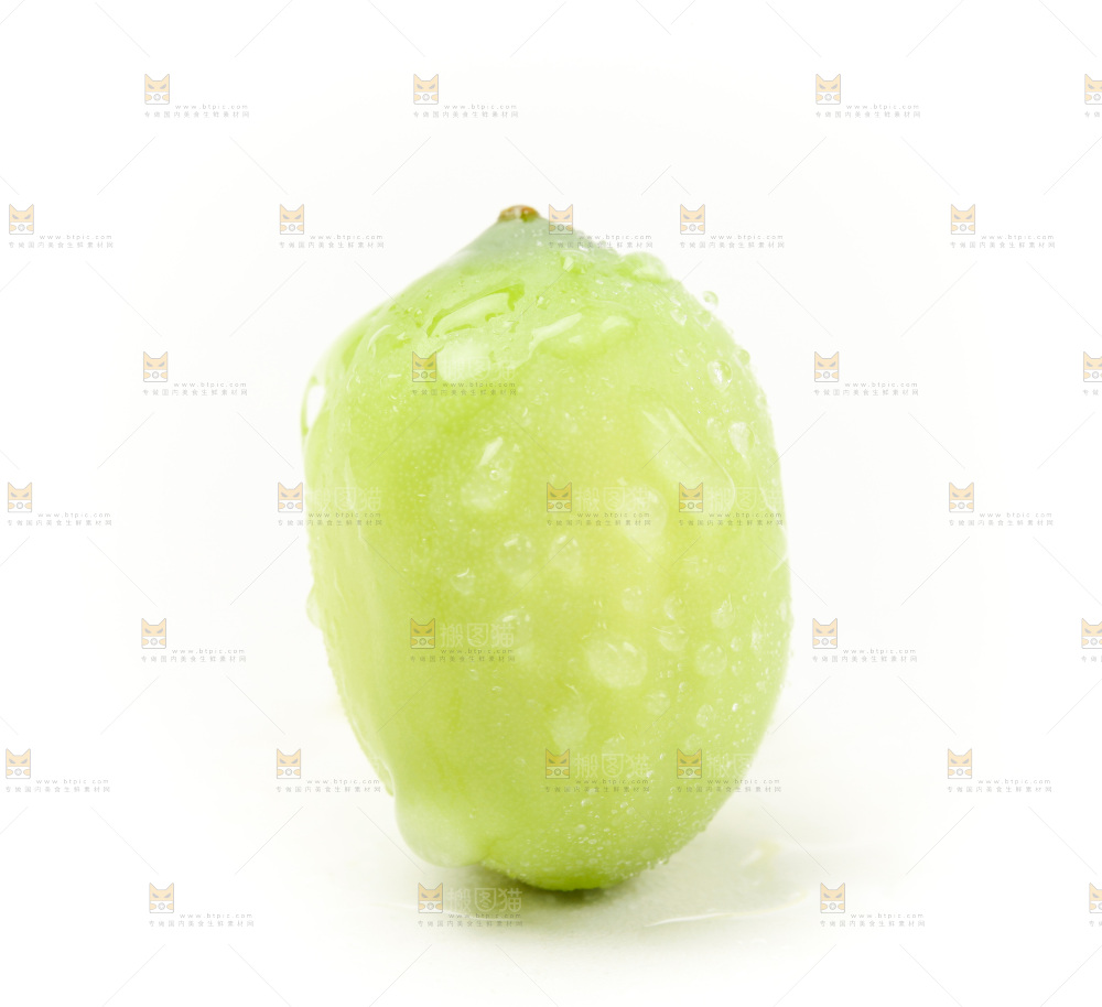 白底上放着嫩莲子
