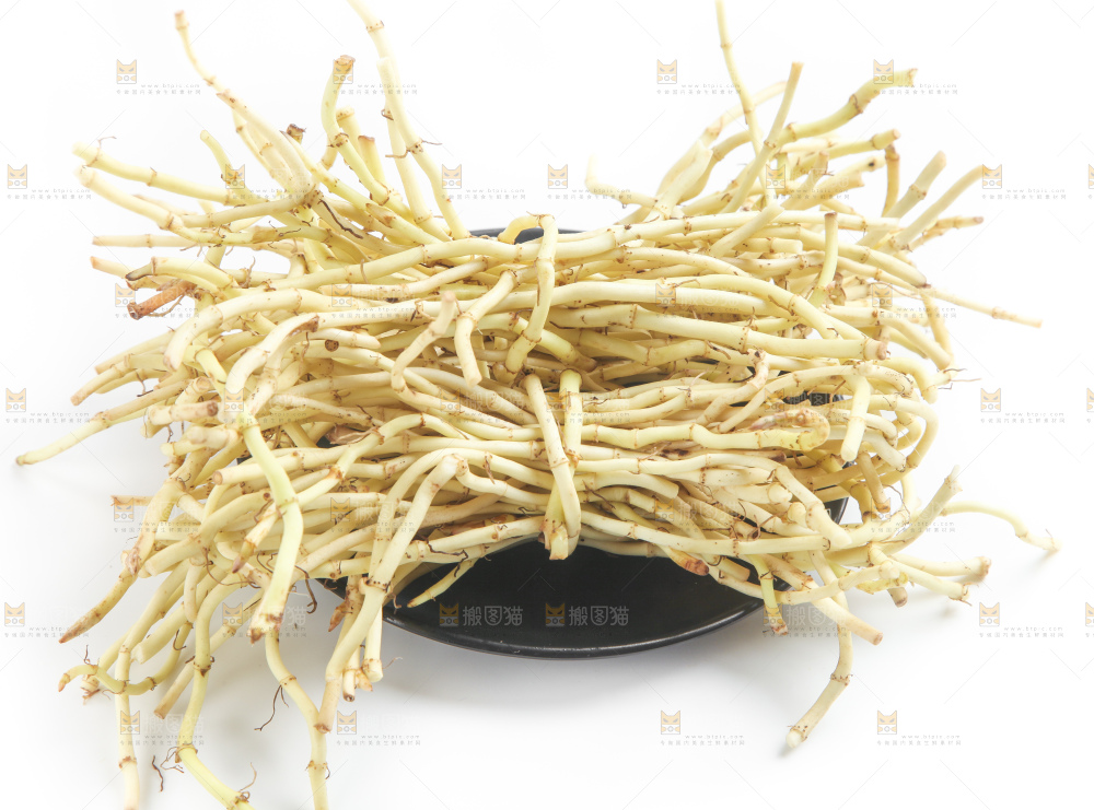 白底上的鱼腥草