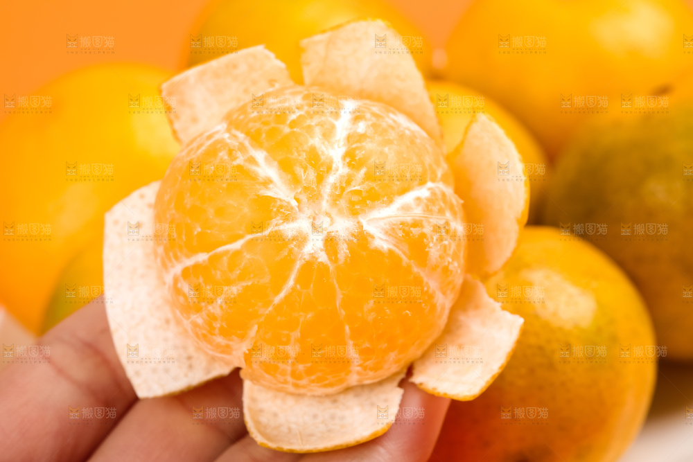 手上拿着一个撕开皮的皇帝柑