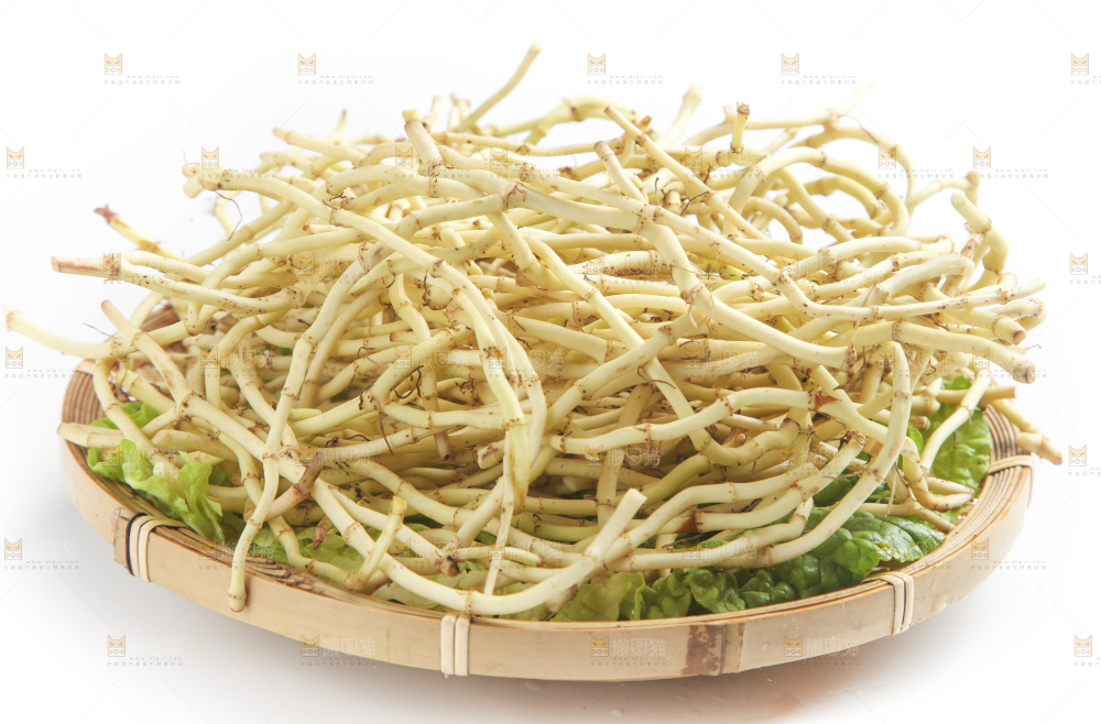 篮子里装着鱼腥草