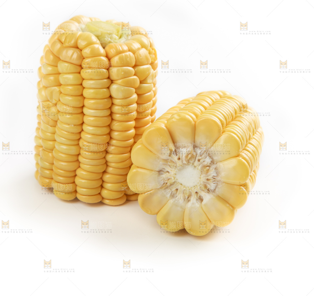 白底上的新鲜玉米