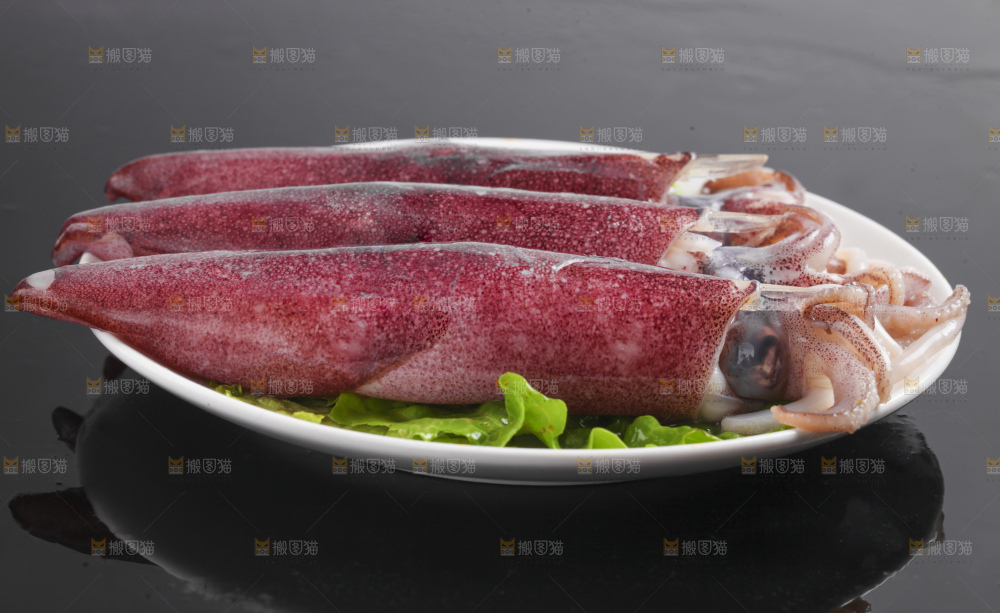 黑底上的鱿鱼