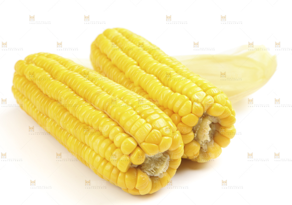 白底上的玉米棒