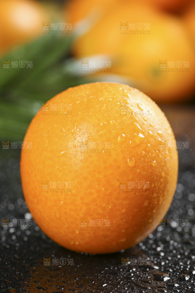 黑石板上的广西金钱橘