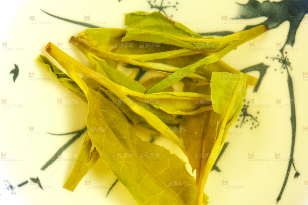 杯子里的龙井茶