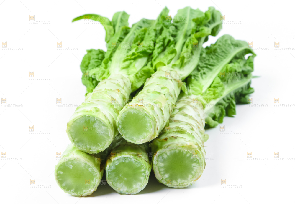 白底上的莴笋