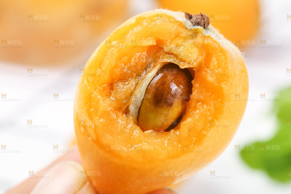 手里拿着新鲜枇杷