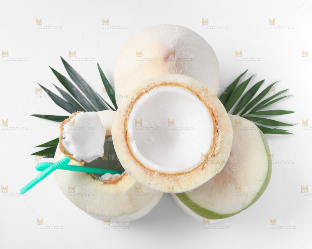 白底上青椰子