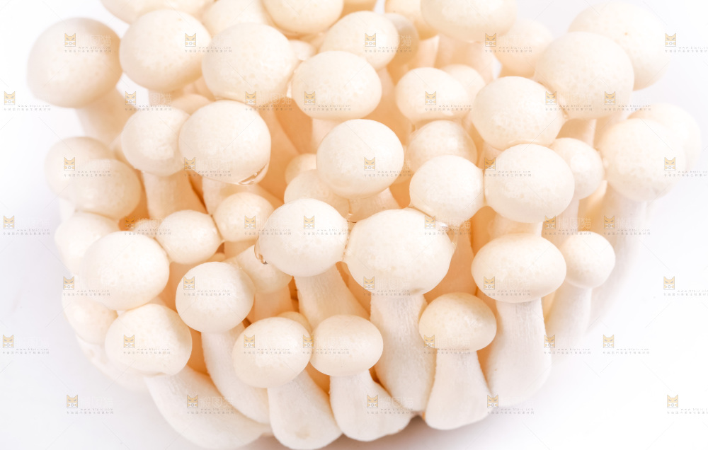 白底上放着白玉菇