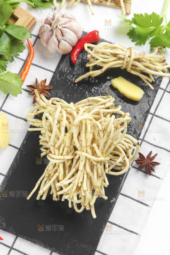 石板上的鱼腥草